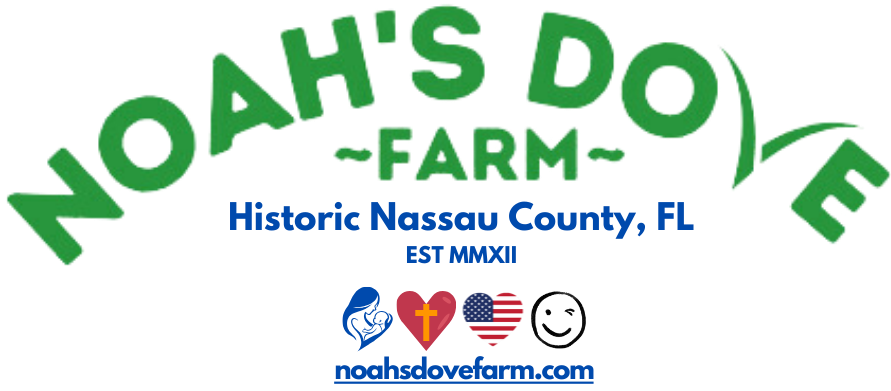 Noah's Dove Farm