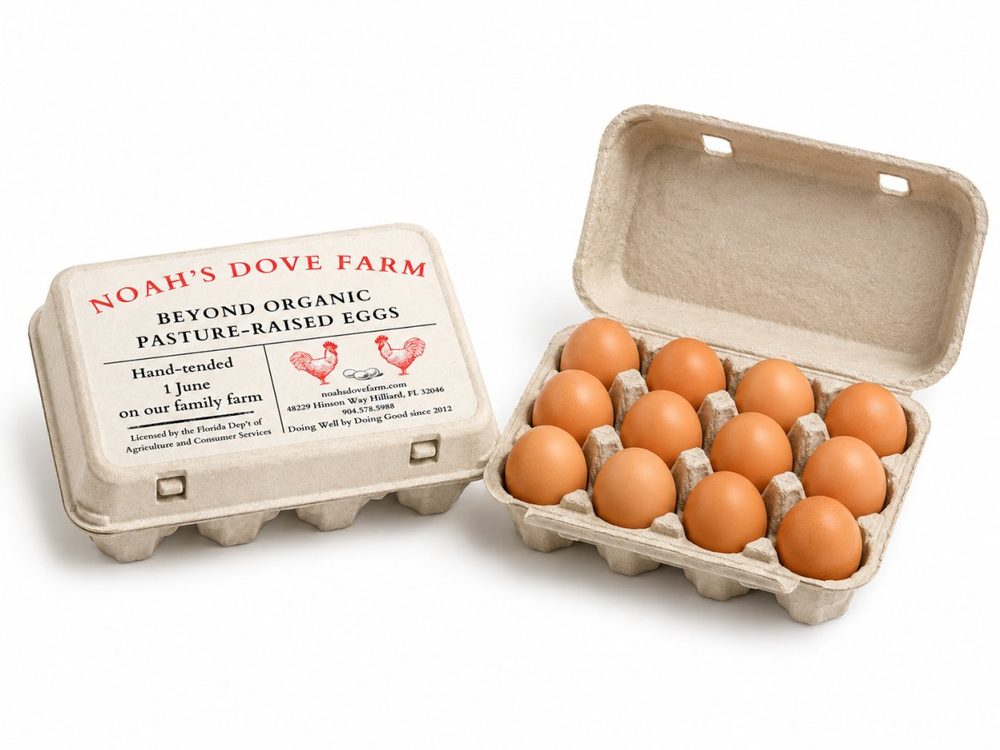 A dozen brown eggs in a Noah's Dove Farm egg carton