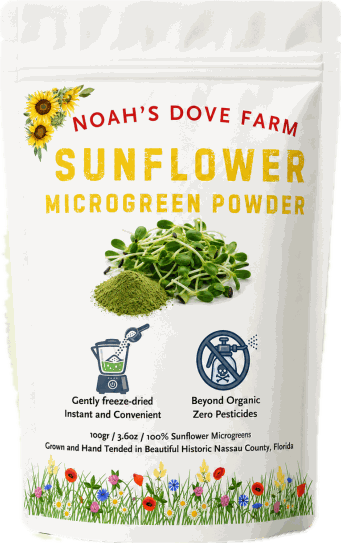 Sunflower Microgreen Powder