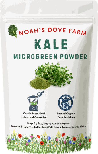 Kale Microgreen Powder