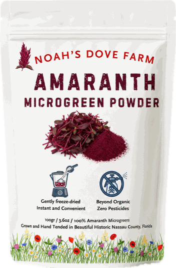 Amaranth Microgreen Powder